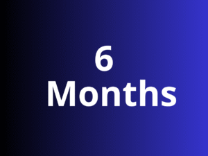 6  Months Subscription